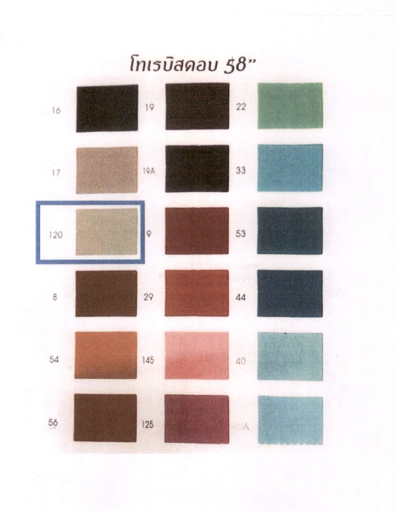 แนวทางการแต่งกาย3